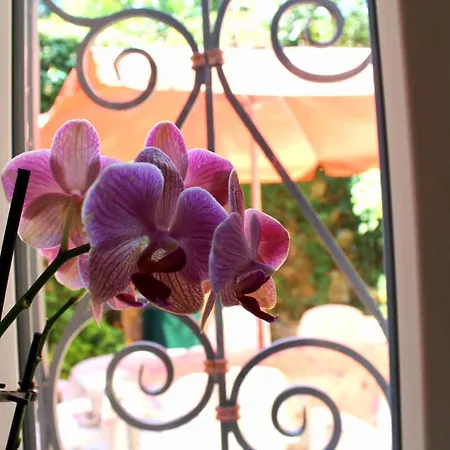 San Giuseppe Apartman Lovran
